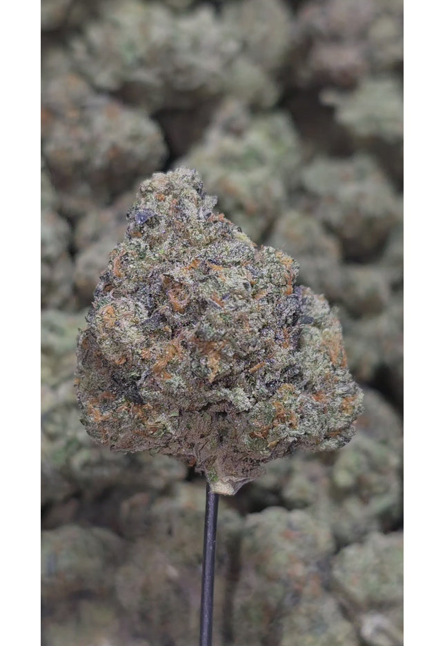 Dolewhip 34% Thca Bulk