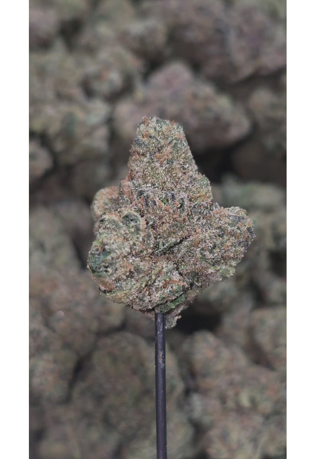 Grape Gasoline 36% Thca Indica