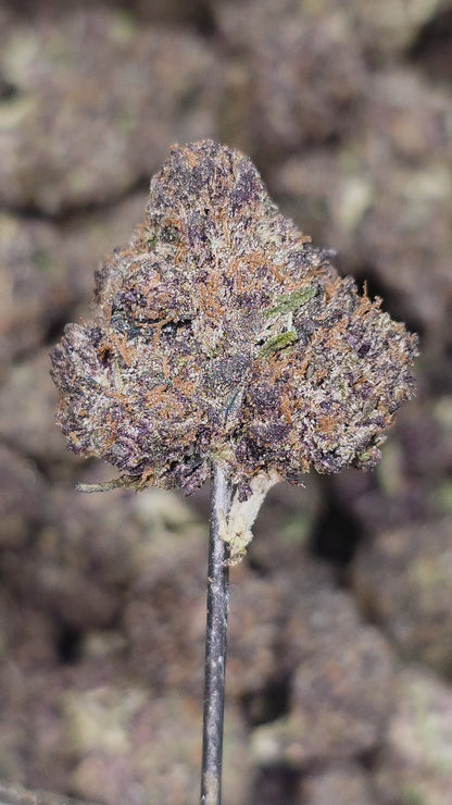 Block Berry 33% THCa Med/Sm Mix