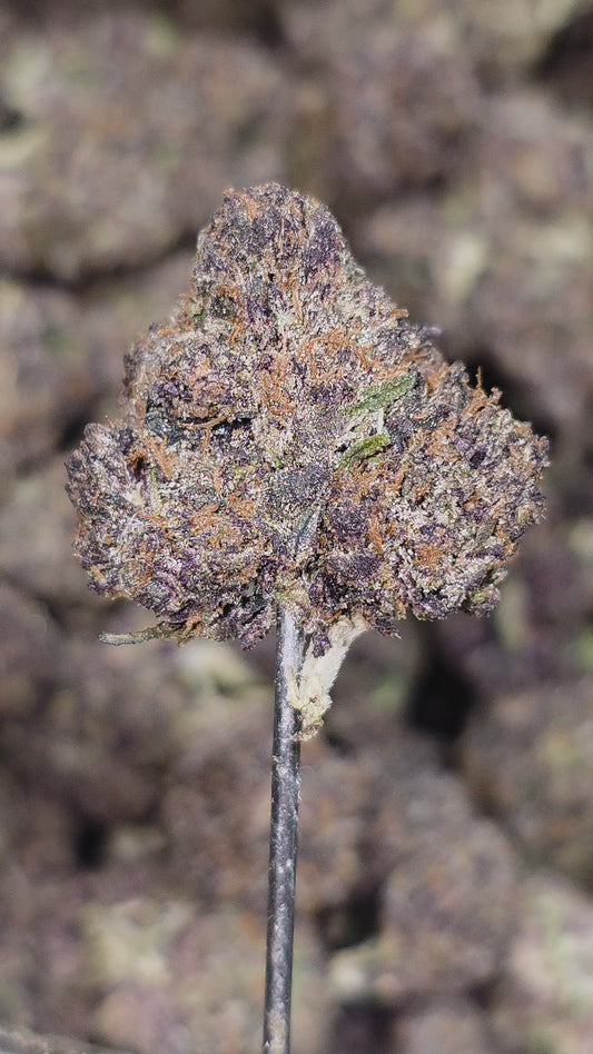 Block Berry 33% THCa Med/Sm Mix