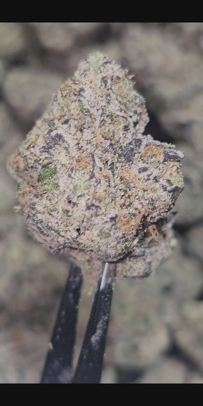 Gorilla Glue 36%  Thca