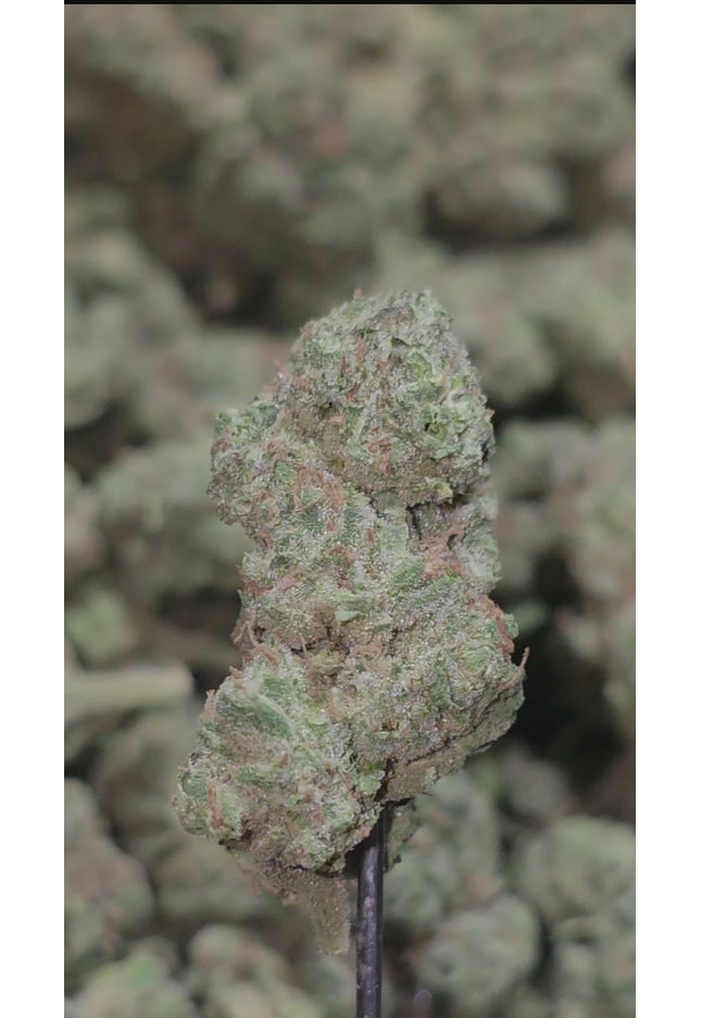 Super Boof 32% Thca Bulk