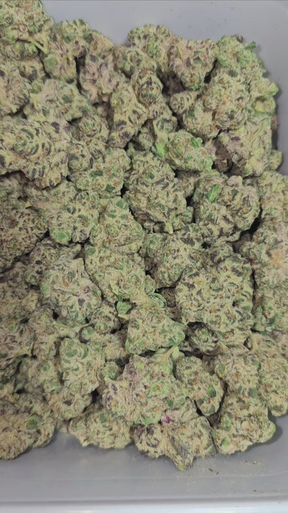 BLACK GORILLA GELATO GLUE 34% Thca