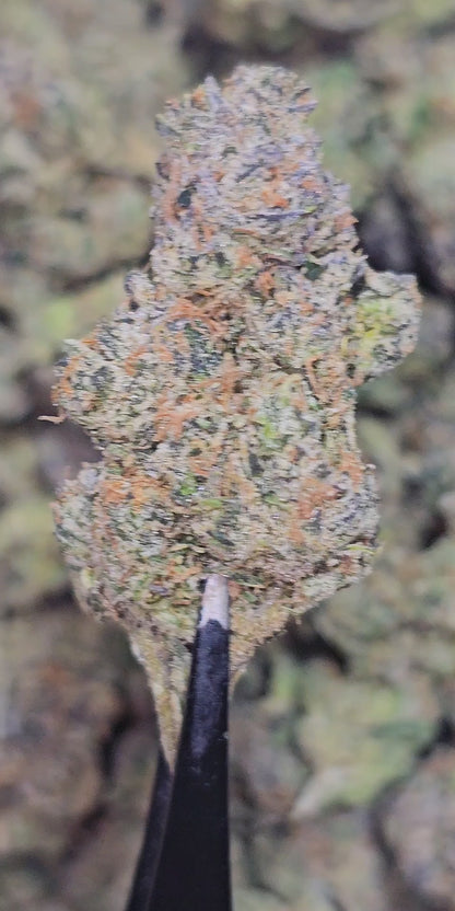Kilimanjaro 34% THCA Bulk