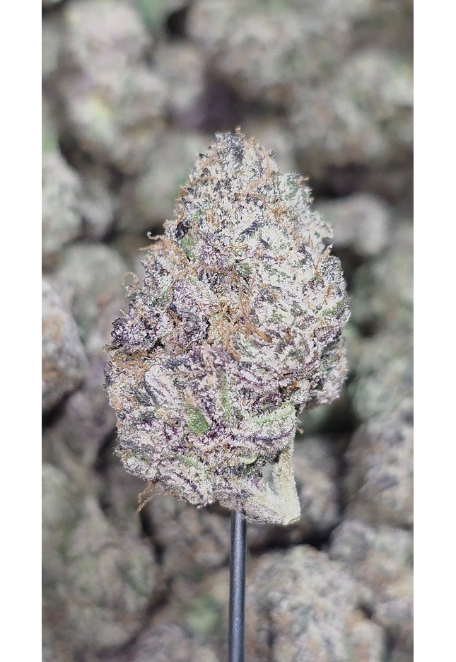 AfGooey 35% Thca