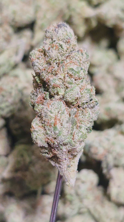 Magic Night 33% THCA Med/Smalls