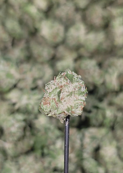THCa hemp exotic flower wholesale bulk fast shipping