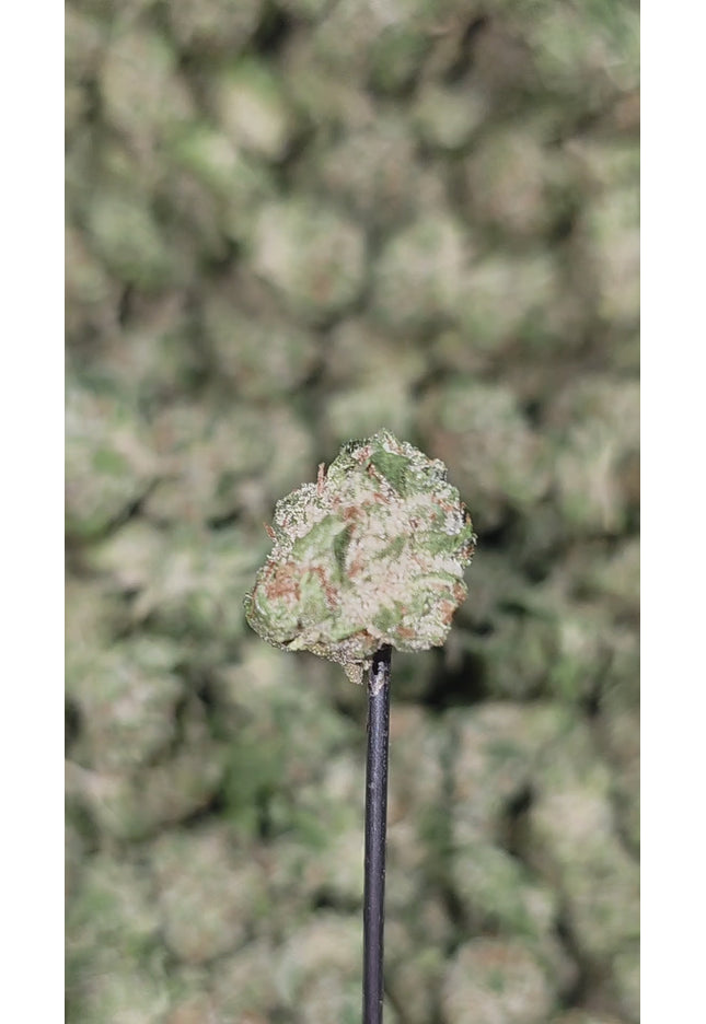 THCa hemp exotic flower wholesale bulk fast shipping
