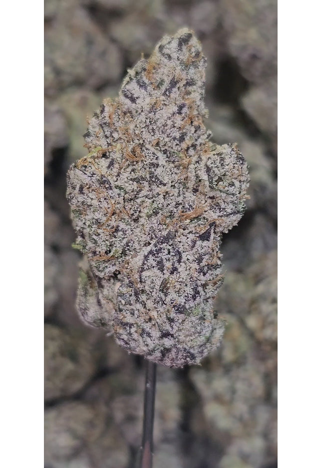 Acapulco Gold 36 % Thca Bulk