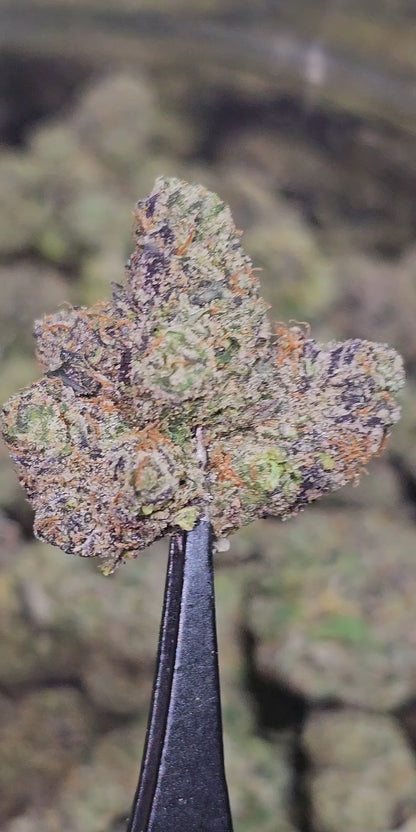 Grape Ape 35% Thca