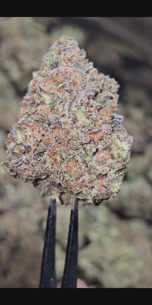 White Rhino 35% Thca Bulk
