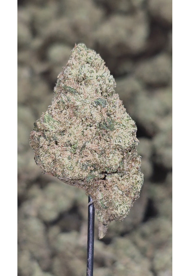 Mule Fuel 35% Thca