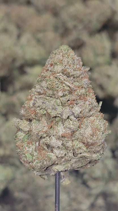 Blue Meteorite 34% Thca