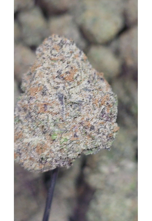 Ice Cream Pie Mediums 36% Thca Bulk