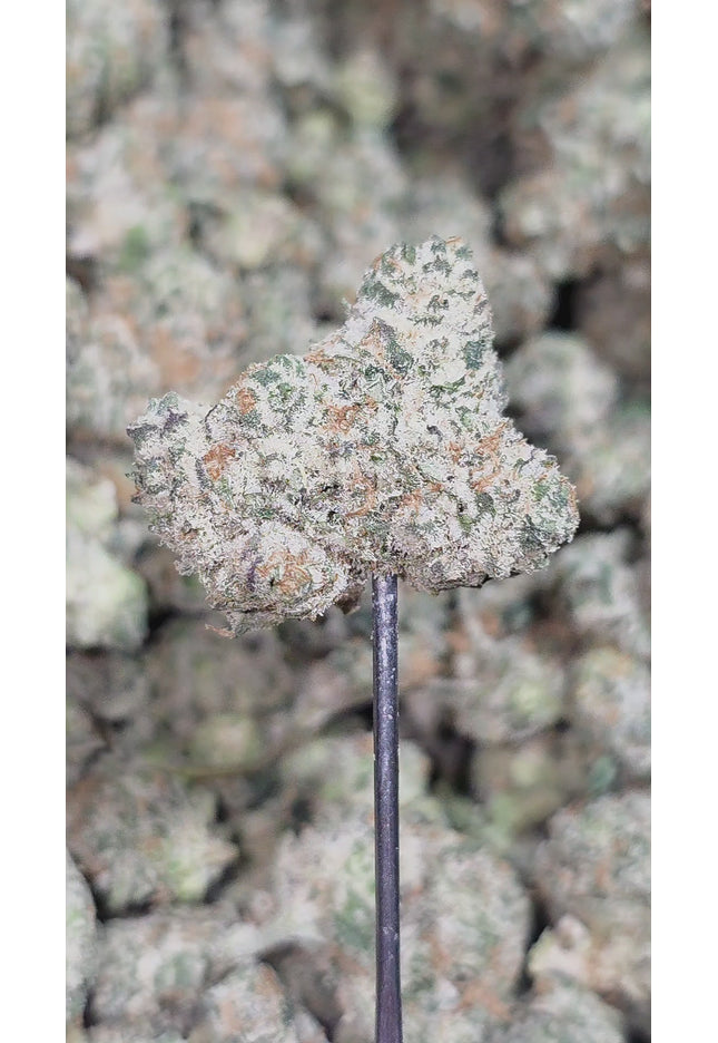 Lemonatti MED 35% Thca