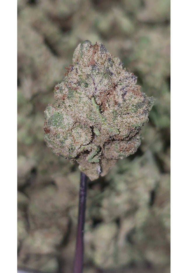 Forbidden Runtz Smalls 34% Thca