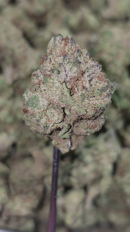 Forbidden Runtz Smalls 34% Thca