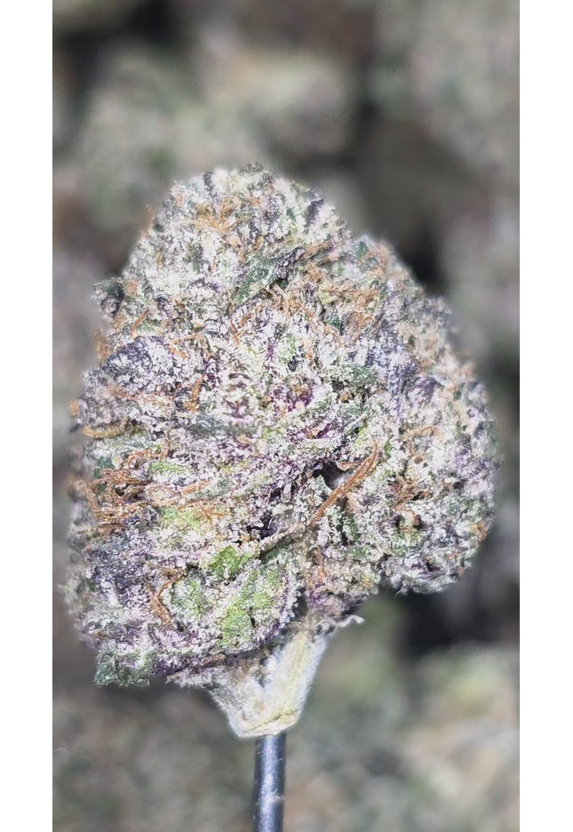 Grape Ape 35% Thca Indica