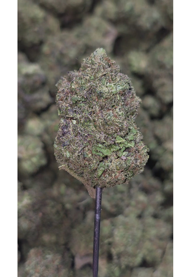 Blue Meteorite 34% Thca Bulk