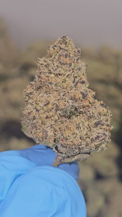 Gelato Float 30% Thca