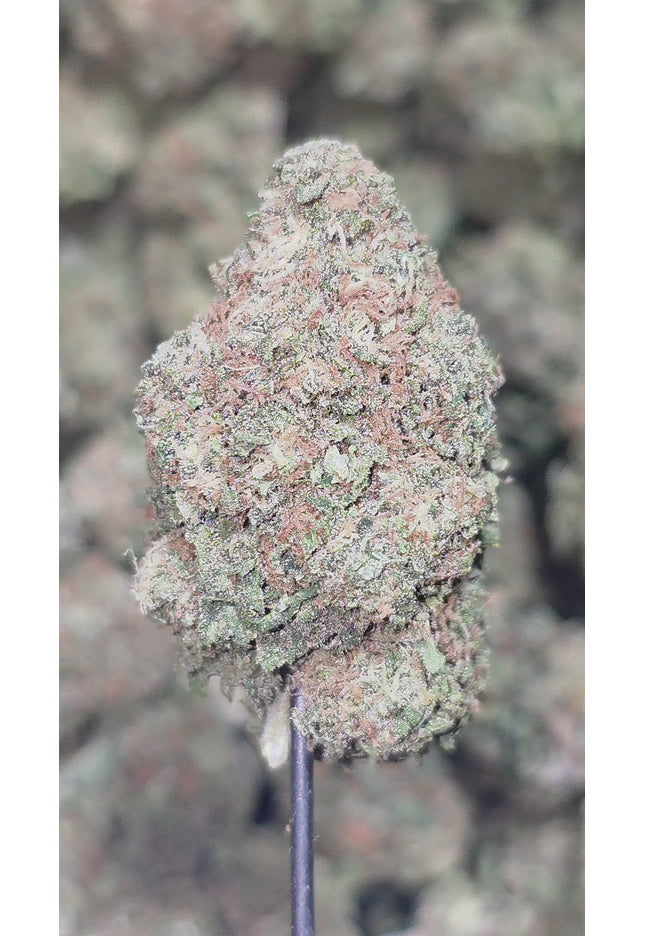 Ace Killa OG 32% Thca Bulk