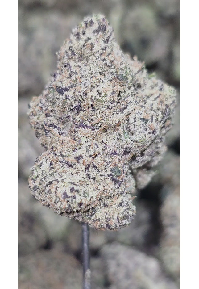 Bruce Banner 36% Thca Bulk