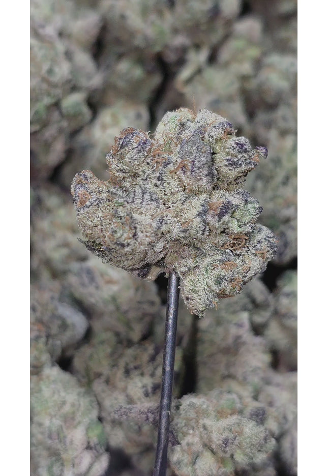 Private Reserve Med 35% Thca Bulk (New Grow)