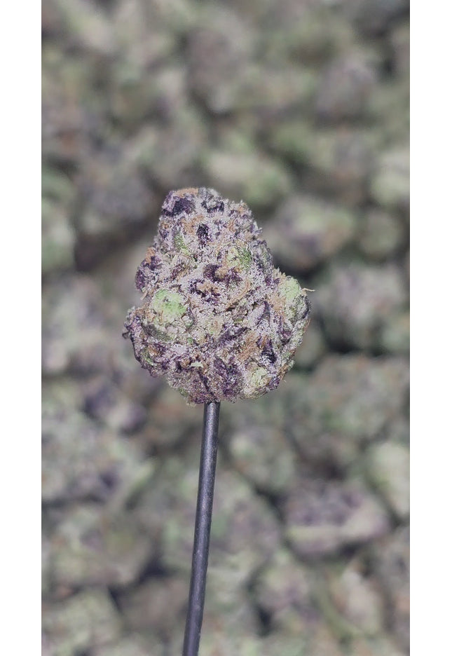 Goblin Kush Small 35% Thca Bulk