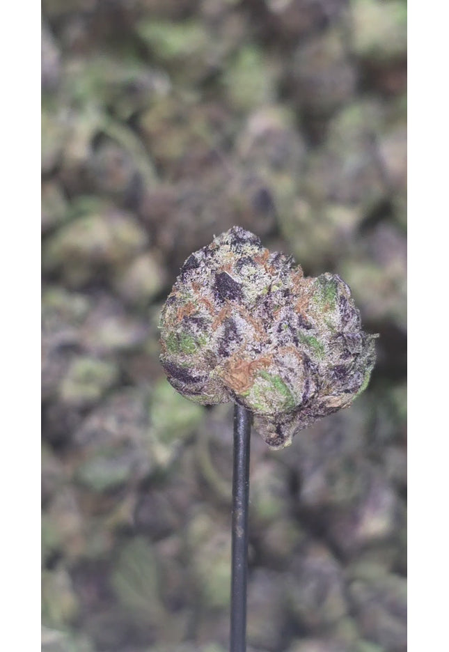Grease Monkey Small 35% Thca Bulk
