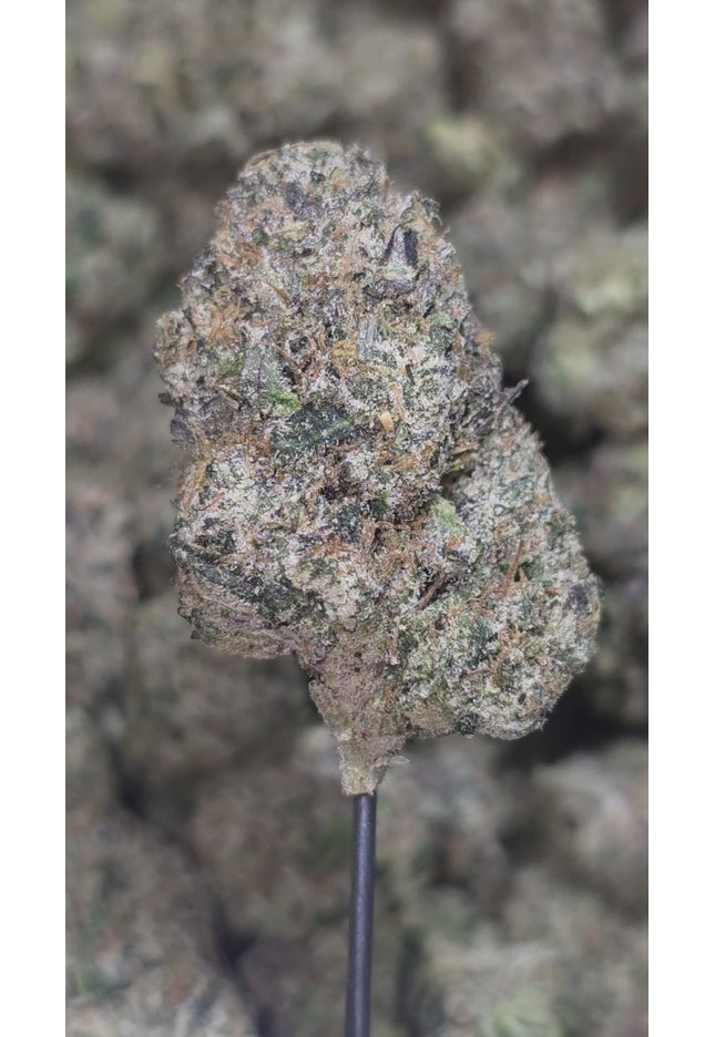 Velvet Rainbow 36% Bulk