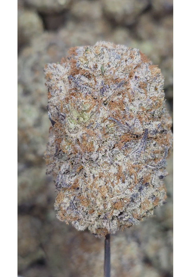 Gas Truffle 35% THCa Bulk