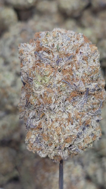 Gas Truffle 35% THCa