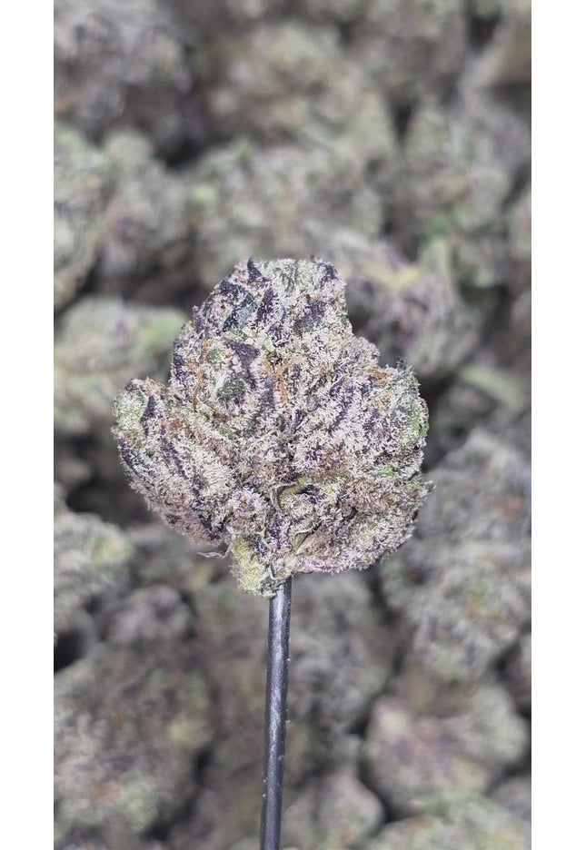 Bubble Up 36% THCA Med/Sm
