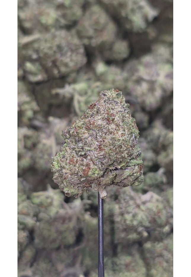 Ice Pop 34% Thca