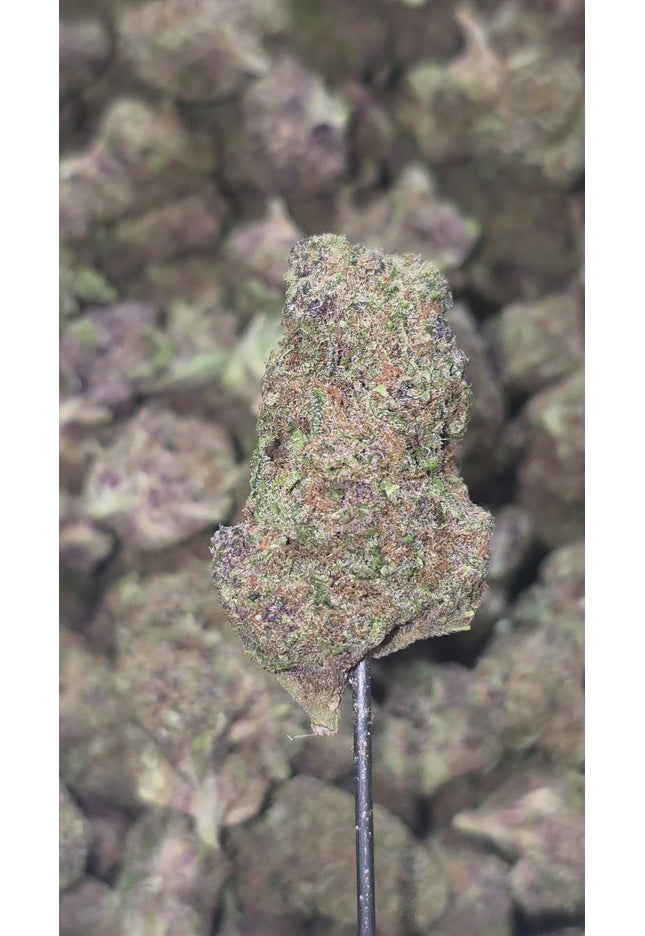 SinMint 34% Thca