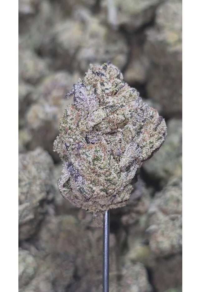 Sour Pez #3 35% THCa