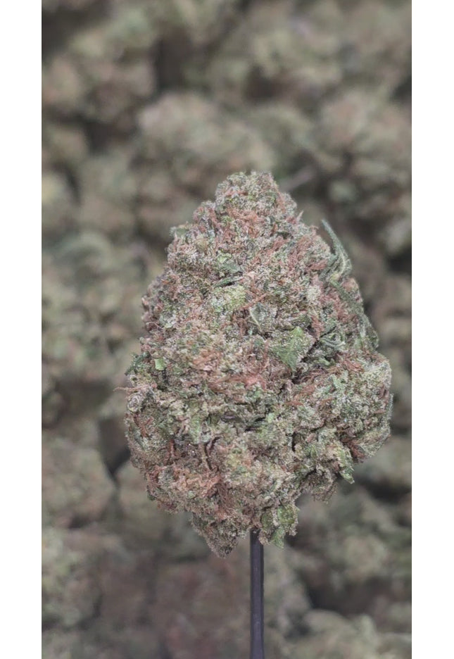 Gary Payton 34% Thca
