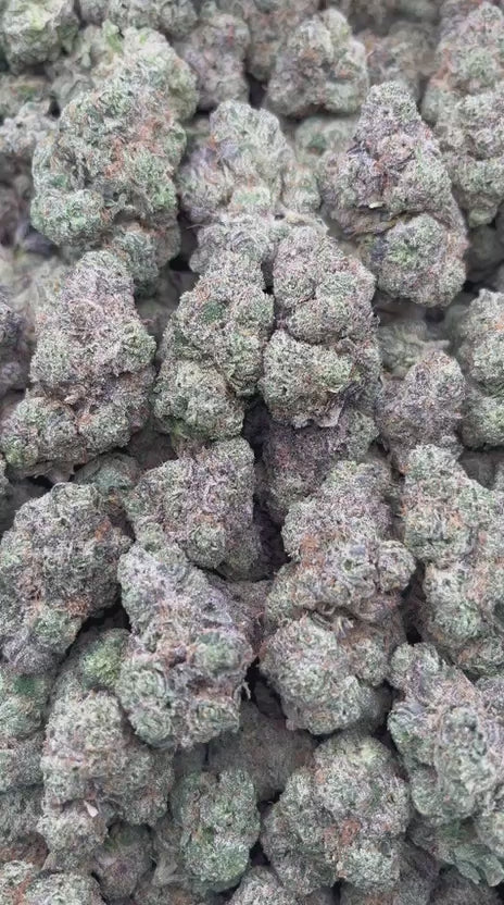 Sweet Hawaiian Tangie Banana 36% Thca