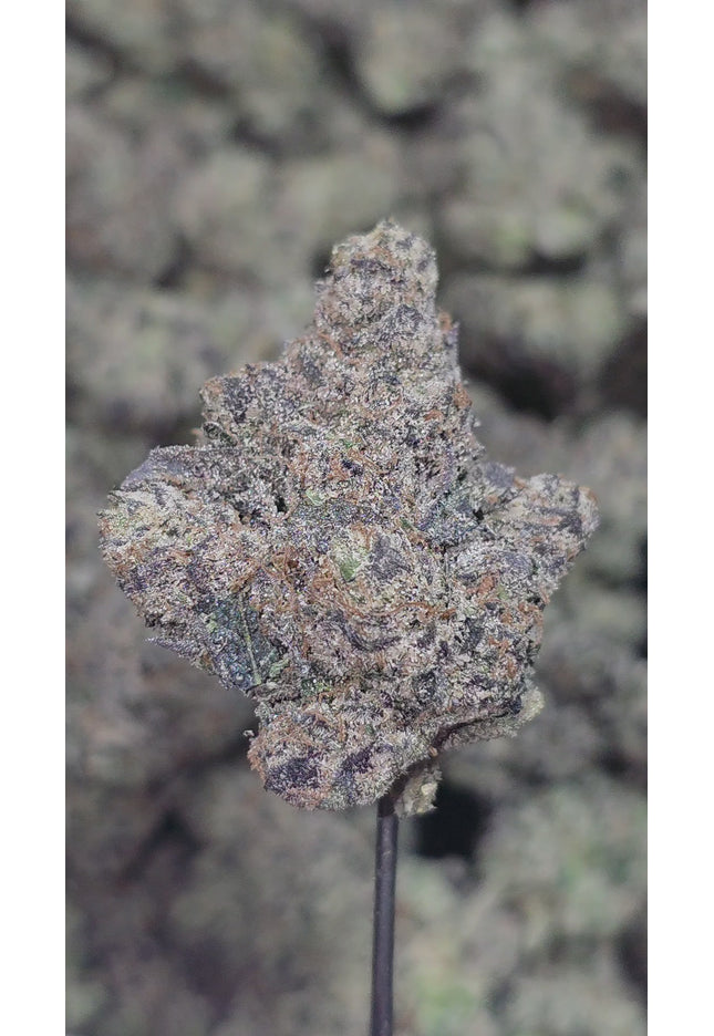 Rainbow Gasoline 35% Thca (RARE STRAIN) Bulk