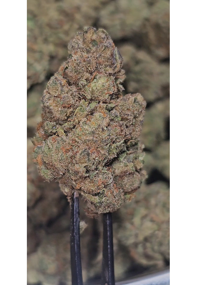 Cheetah Piss 33%  Thca