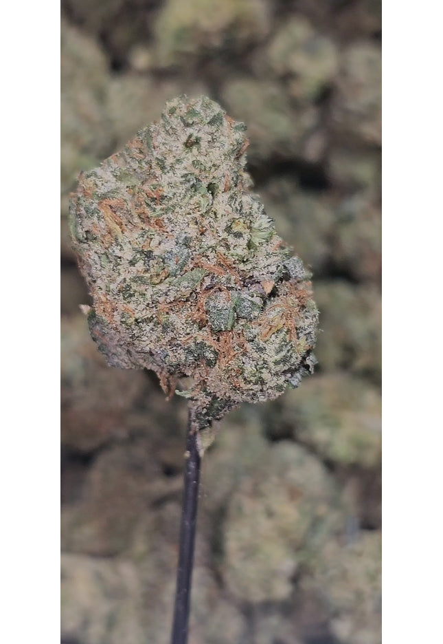 Apple Sundae 34% THCA Mediums Bulk