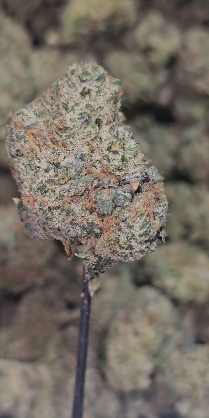 Apple Sundae 34% THCA Mediums