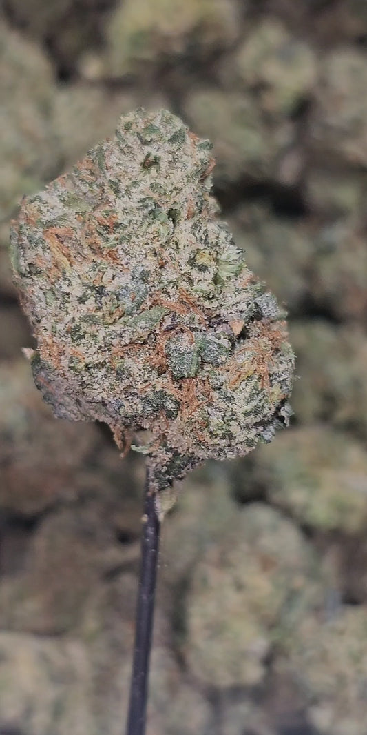 Apple Sundae 34% THCA Mediums Bulk