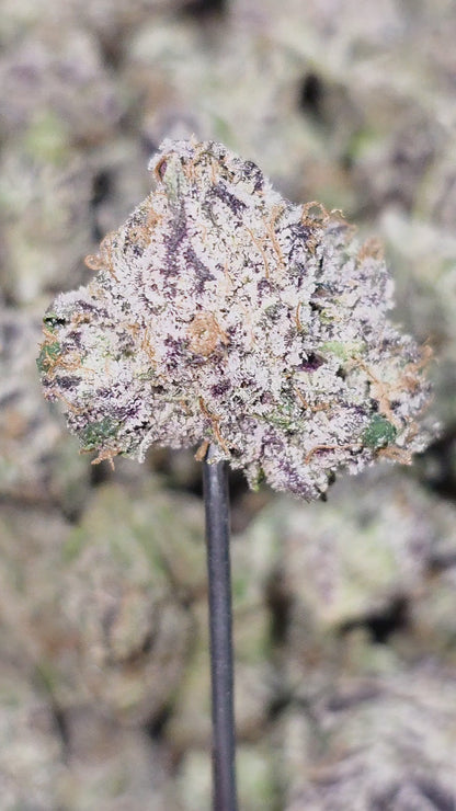 Galactic Runtz 35% Thca Med Bulk