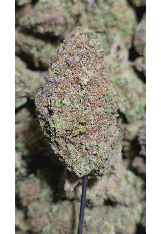 Hippie Crippler 33% THCA
