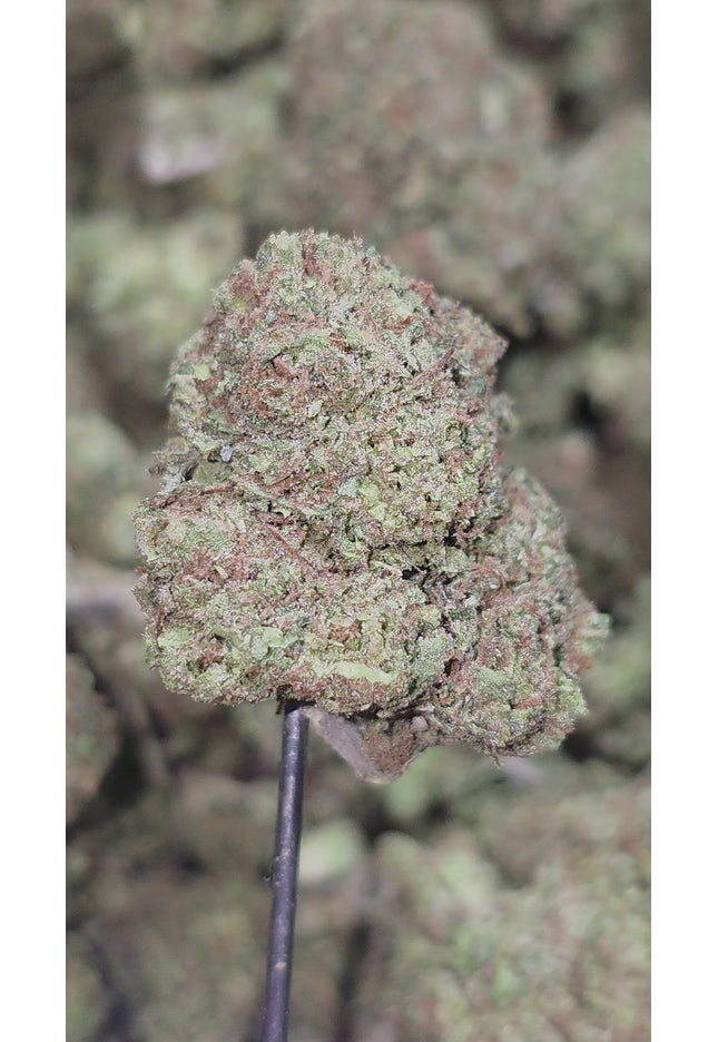 Gelato Kush Mintz 33% Thca