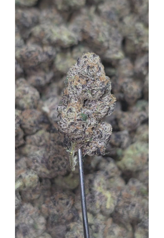 Ice Cream Cake Med/SM Mix 36% Thca Bulk
