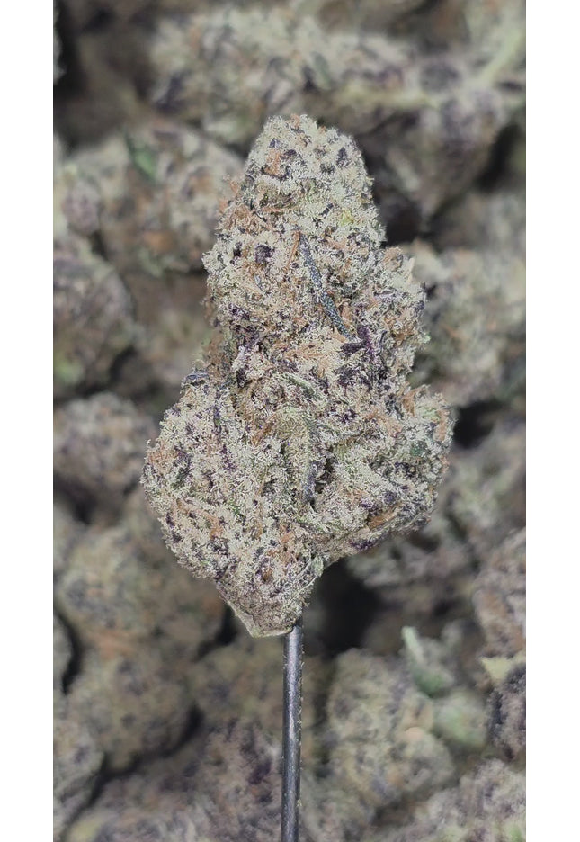 Purple Pineapple Express 34% Thca