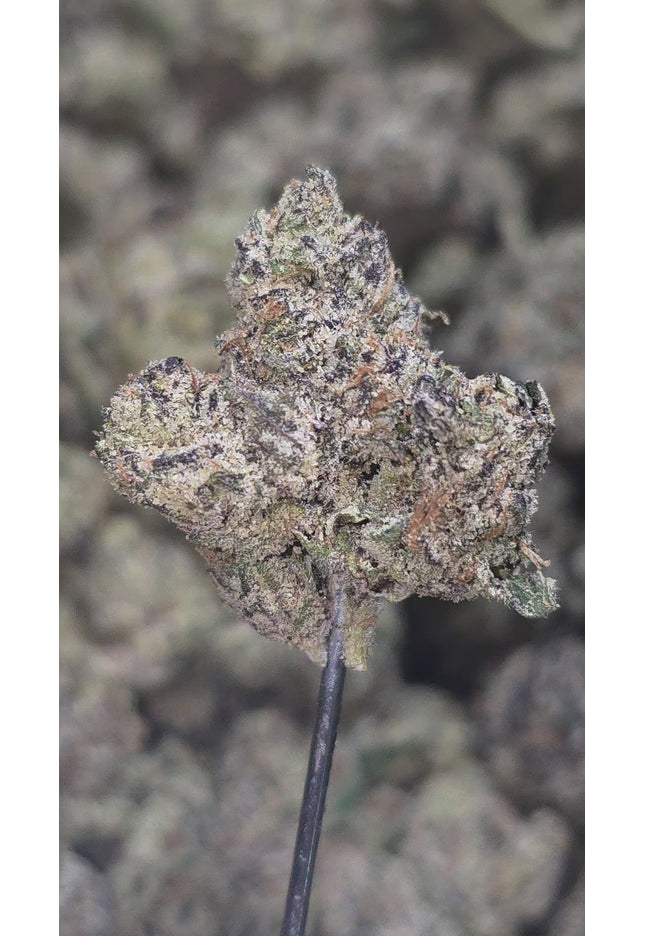 Do si Do 35% THCa