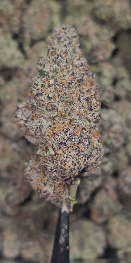 Lava Cake 34% Thca BULK